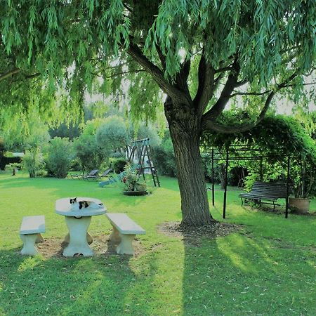 Gites Maisons De Vacances Domaine La Chamade Carpentras Bagian luar foto